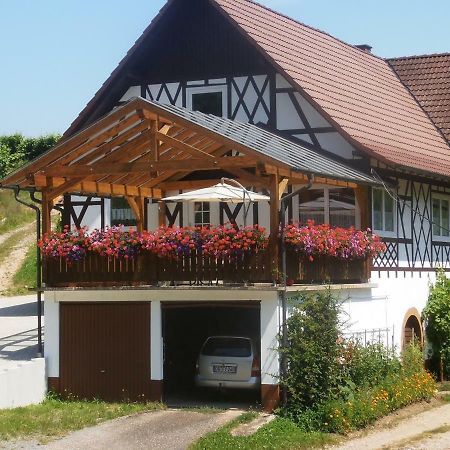 Steinhof Lägenhet Oberkirch  Exteriör bild