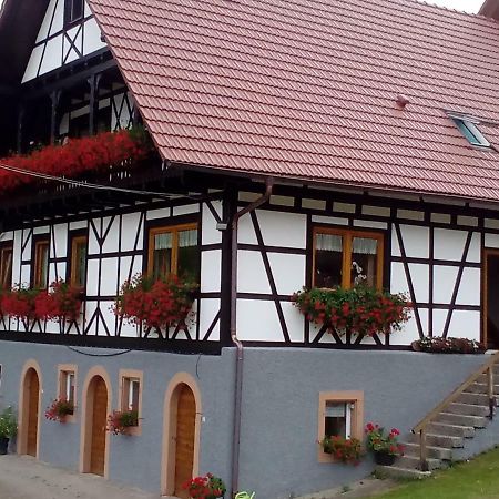 Steinhof Lägenhet Oberkirch  Exteriör bild