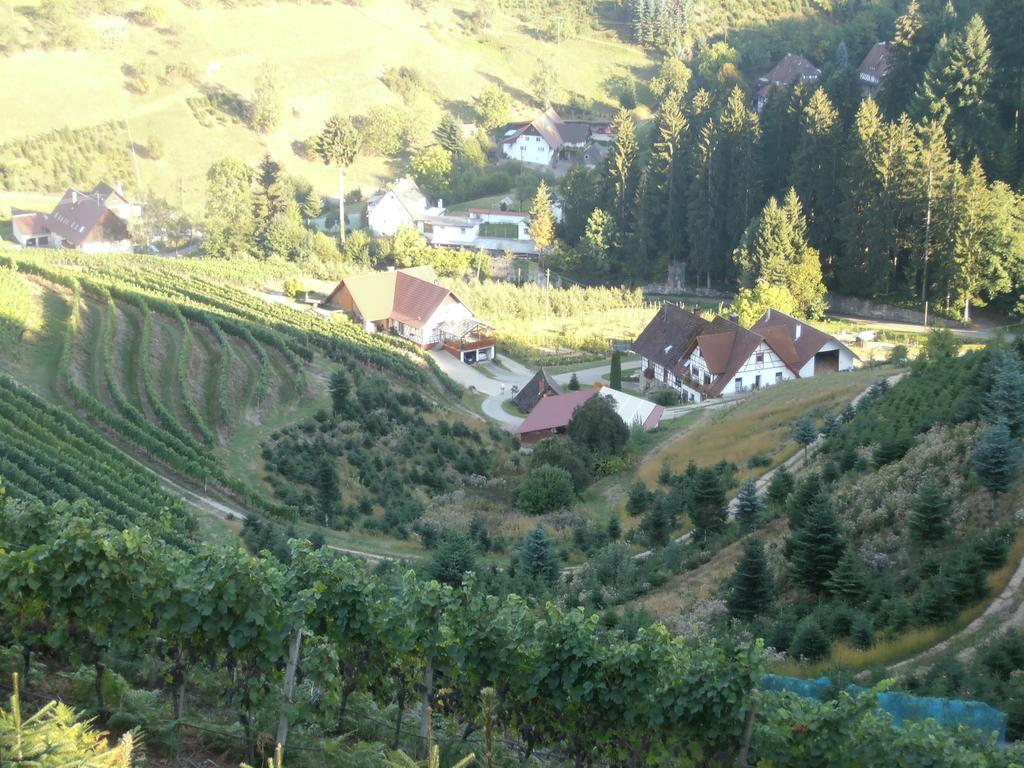 Steinhof Lägenhet Oberkirch  Exteriör bild