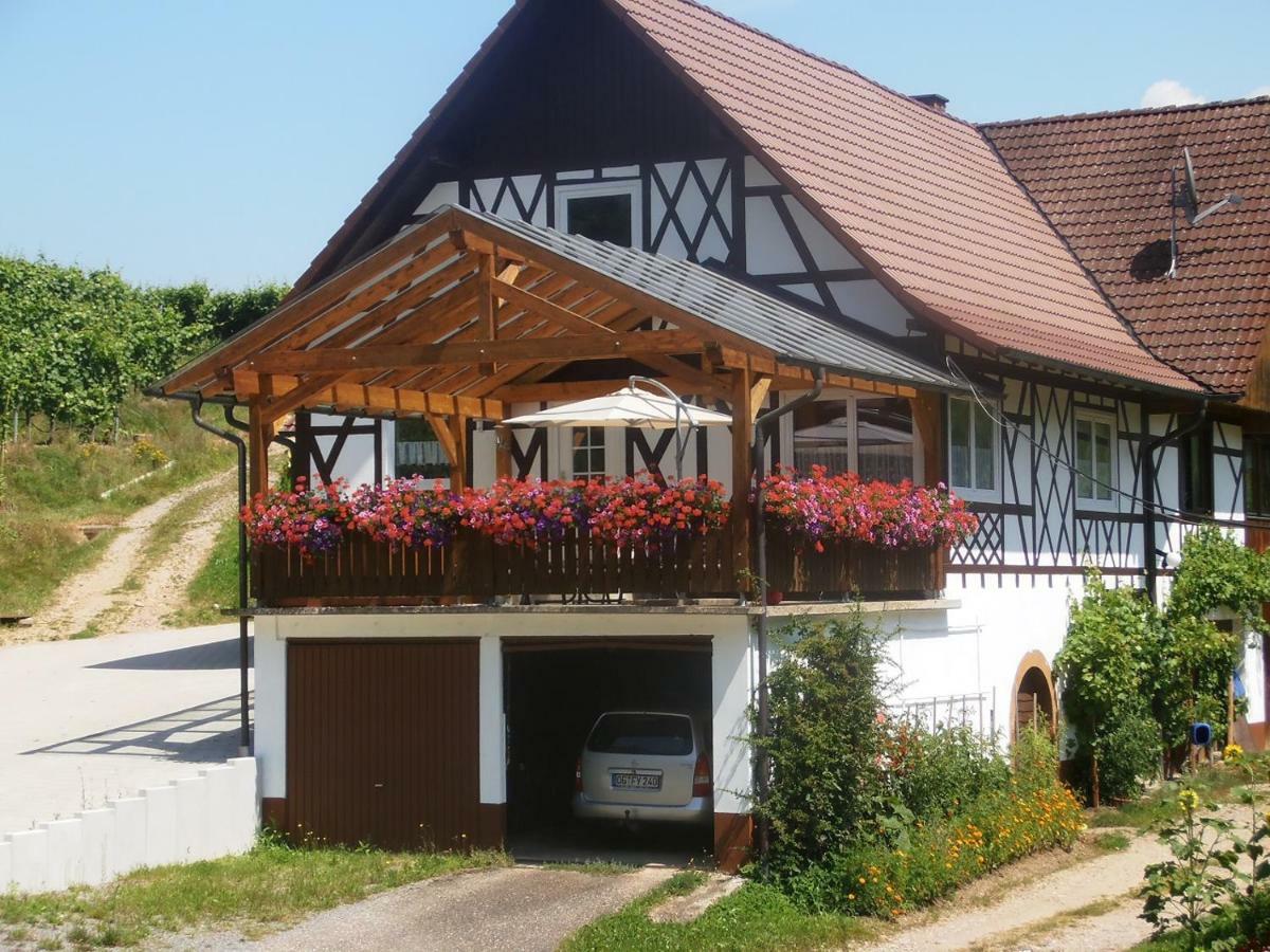 Steinhof Lägenhet Oberkirch  Exteriör bild