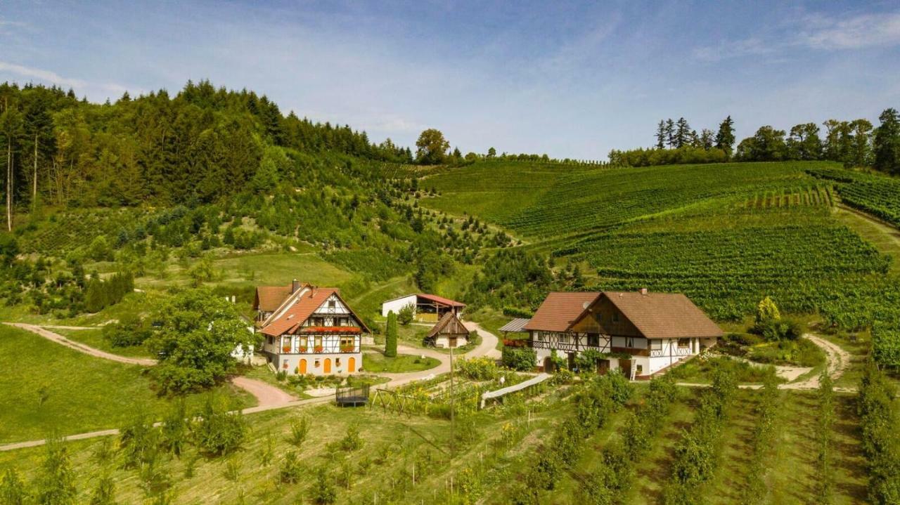 Steinhof Lägenhet Oberkirch  Exteriör bild