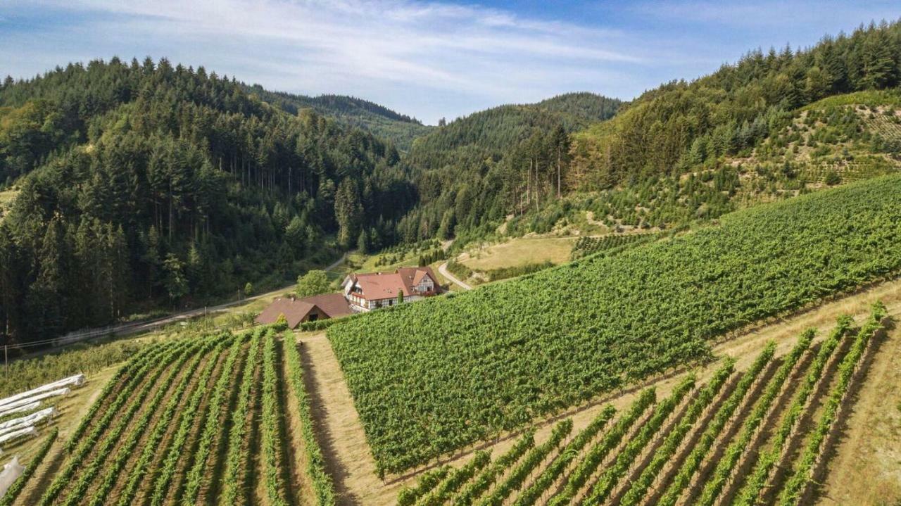 Steinhof Lägenhet Oberkirch  Exteriör bild