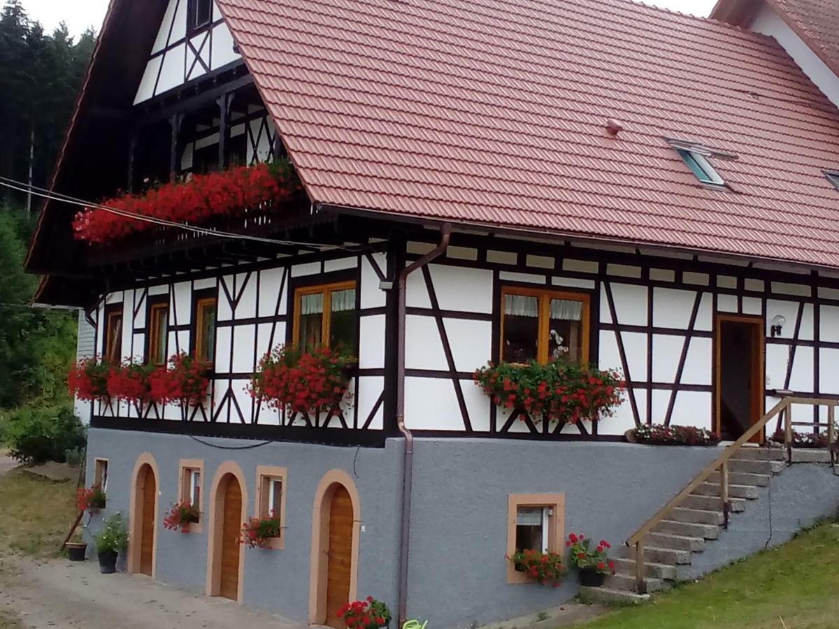 Steinhof Lägenhet Oberkirch  Exteriör bild